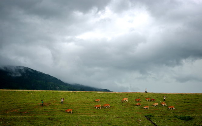 Tây[-]nguyên[-]tuyệt[-]đẹp[-]đầu[-]mùa[-]mưa